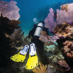 SCUBAPRO Sistema modular de aletas | Modulo de aletas antidesslizantes