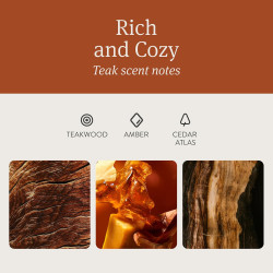 Drift - Ambientador de madera, Eliminador de olores para el automóvil