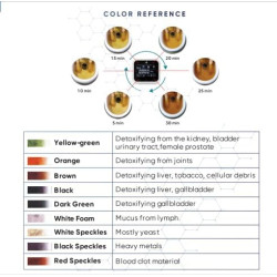 Vital Vibes Máquina de Desintoxicación de Baño de Pies Iónico